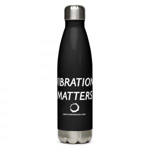 Stainless steel water bottle